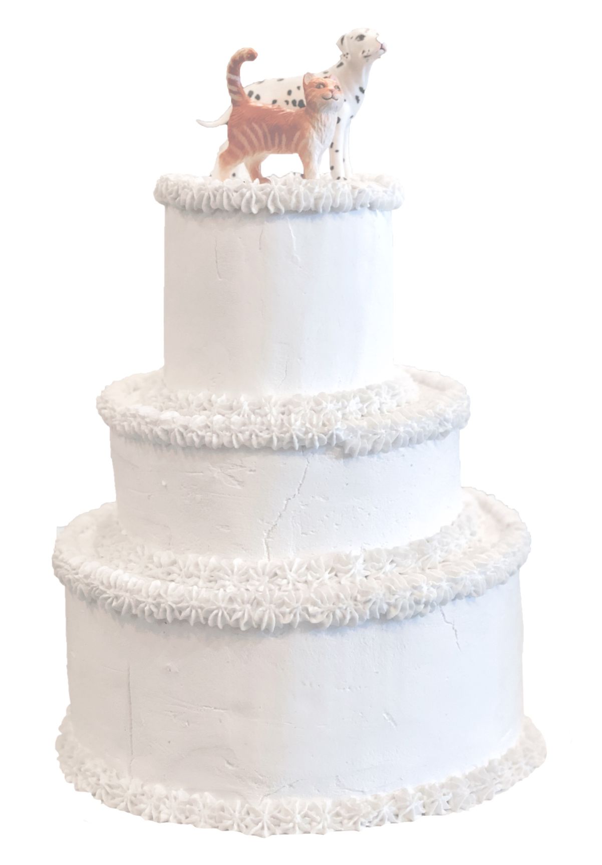 Petcetera Cake.jpg